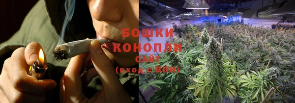 шишки Балабаново